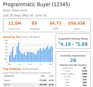 Programmatic Advertising 