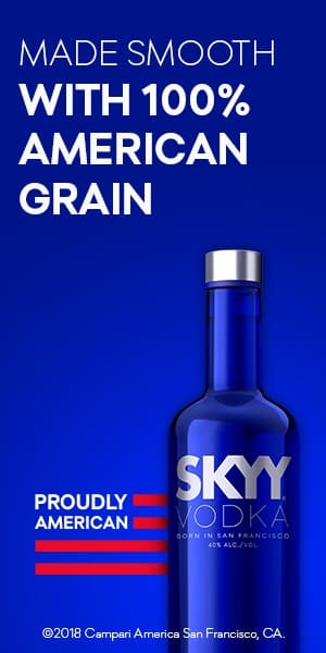 Alcohol Advertising - Skyy Vodka - 300x600