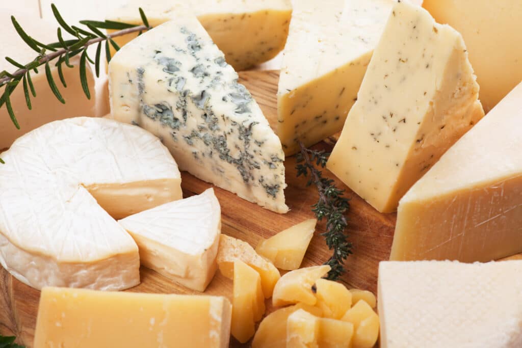 Gourmet Food Guide Cheese